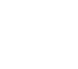 Paranormal DNA250C Logo